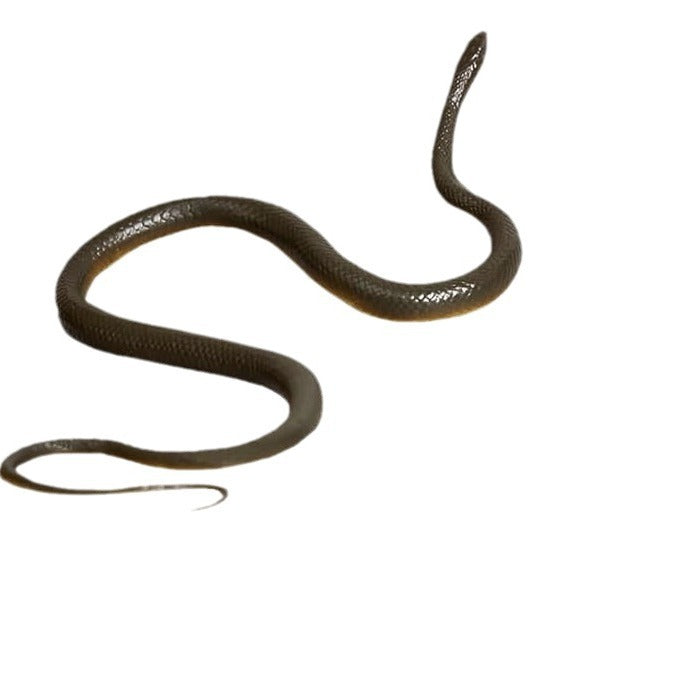 Realistic Fake Snake toy that never fails